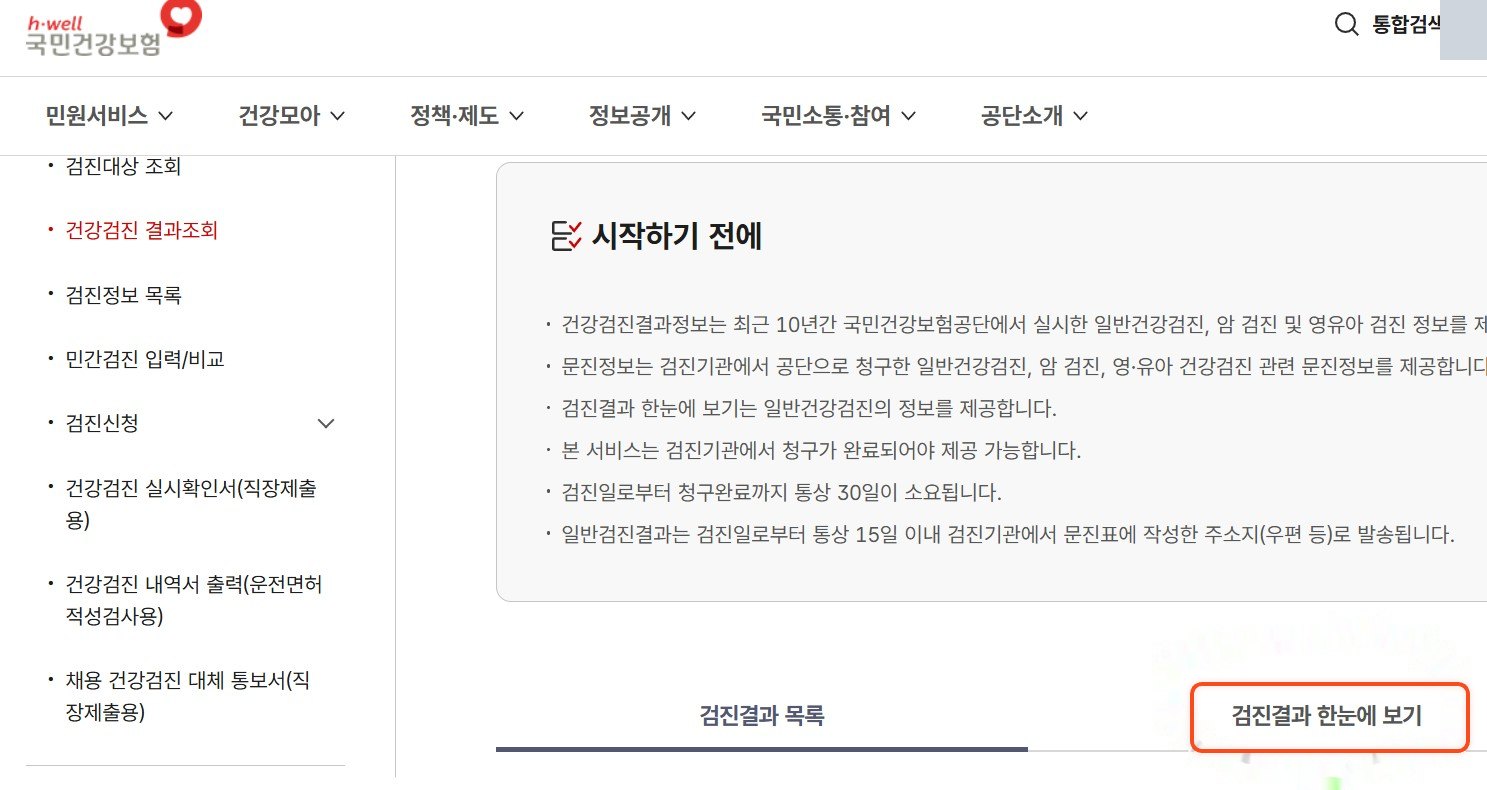 검진결과 한눈에 보기 탭